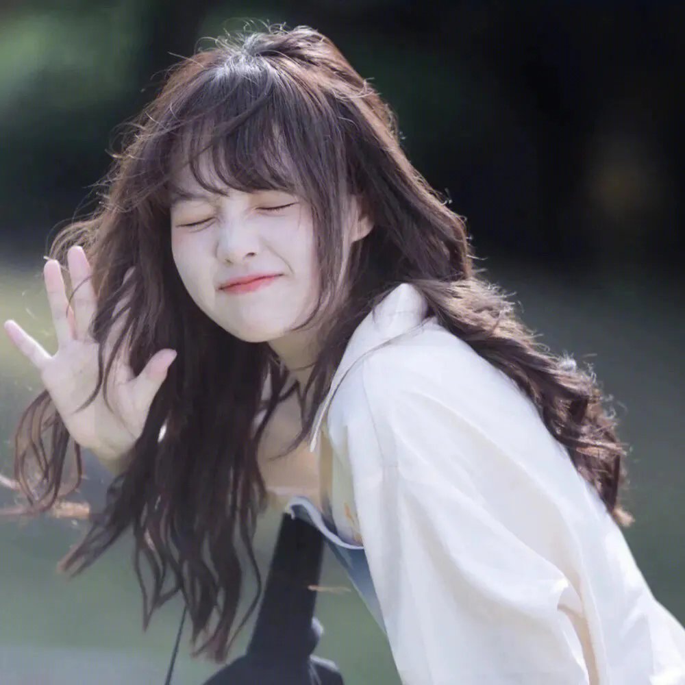 高卢英雄大战凯撒王子